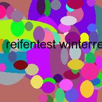 reifentest winterreifen 205